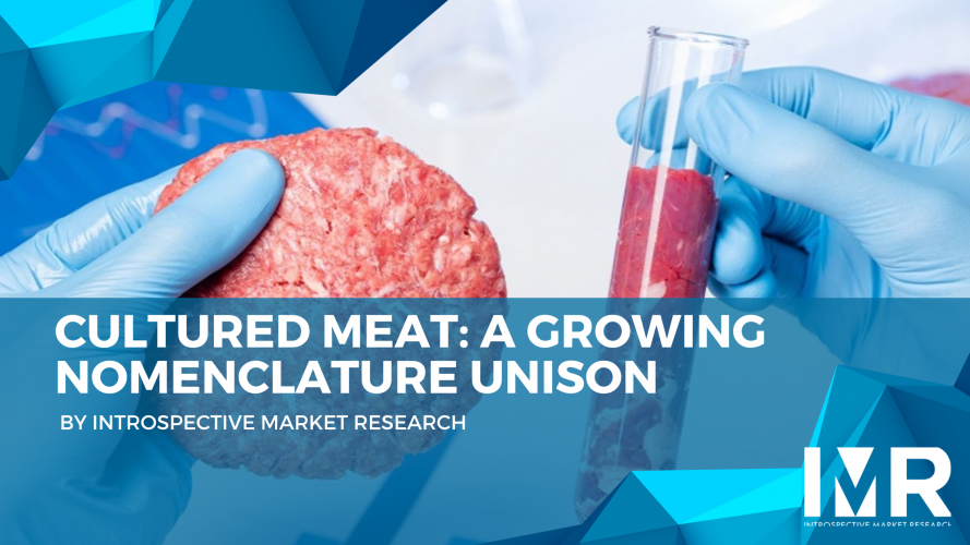 Expert market research and consulting to drive business decisions, growth, and strategic insights.