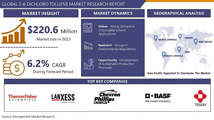2 4-Dichloro Toluene Market - In-Depth Analysis By Size