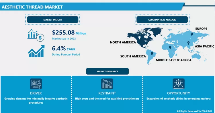 Aesthetic Thread Market - Size & Upcoming Industry Trends