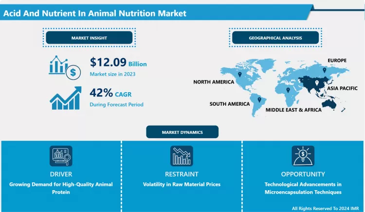 Acids And Nutrients In Animal Nutrition Market - Overview And Outlook By Potential Growth