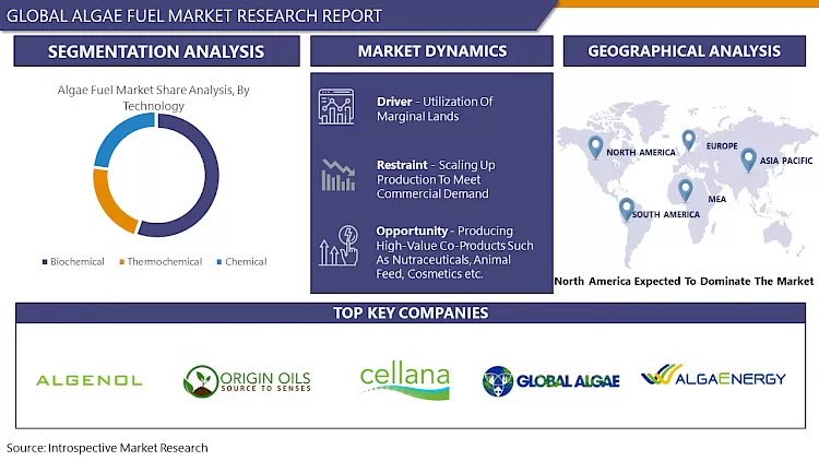 Algae Fuel Market - In Deep Analysis Focusing On Market Share