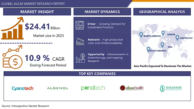 Algae Market- Sales Analysis & Share | Forecast Upto 2032