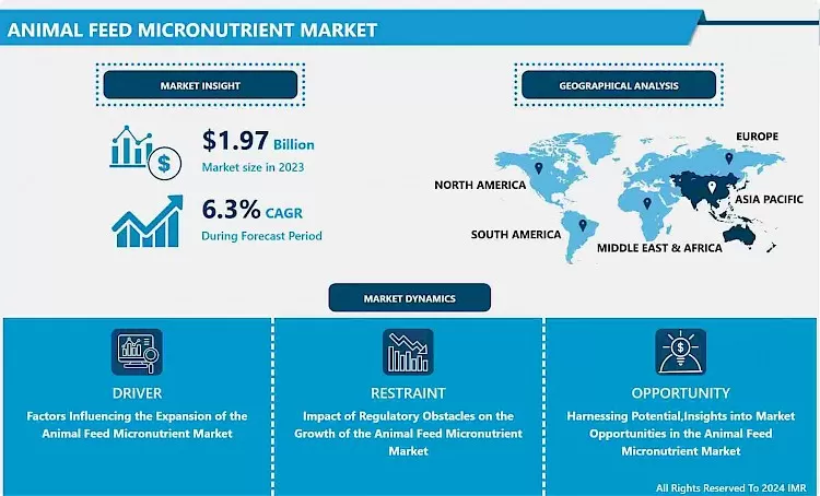 Animal Feed Micronutrient Market - Global Demand & Analysis