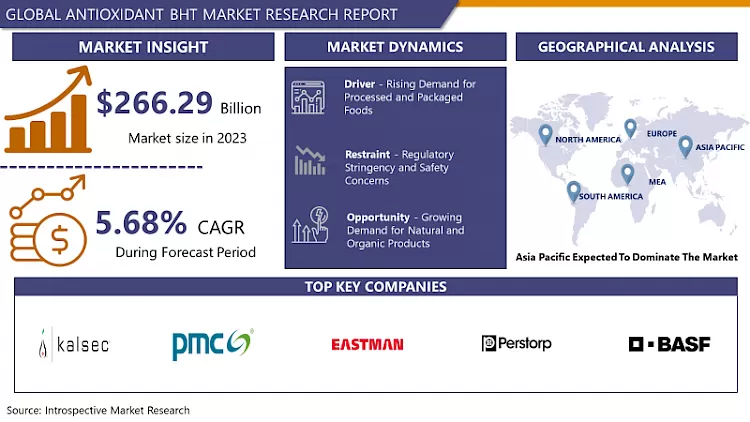 Antioxidant BHT Market | Global Industry Analysis By 2032