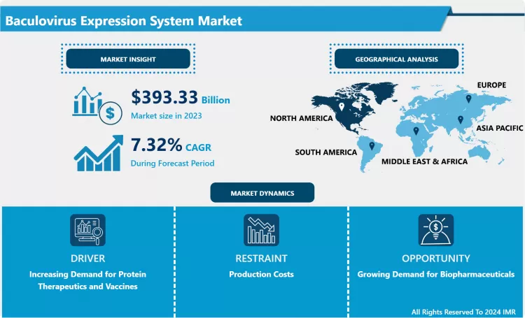 Baculovirus Expression System Market - Current Analysis