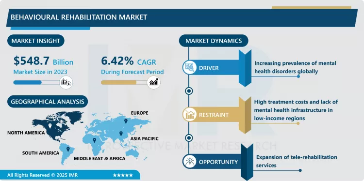 Behavioural Rehabilitation Market - Comprehensive Study Report & Recent Trends 2024-2032