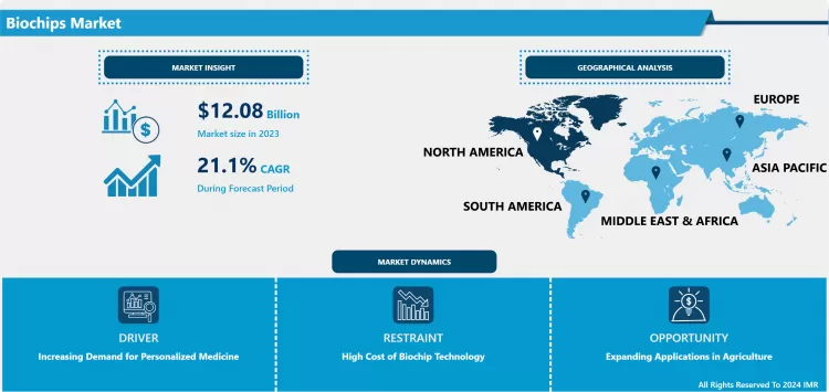 Biochips Market - Current Analysis By Market Share