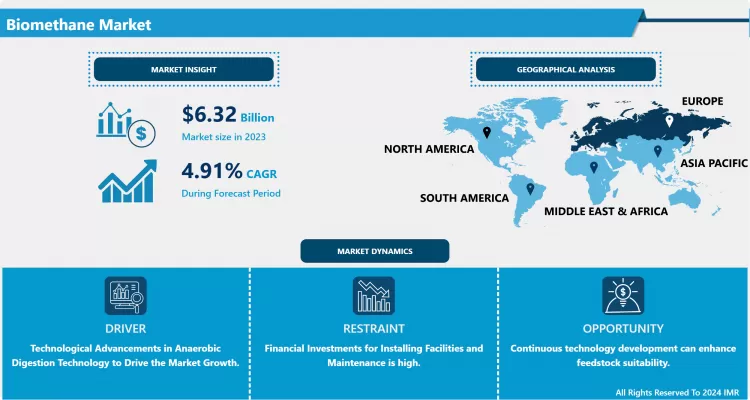 Global Biomethane Market-Overview And Outlook By Potential Growth