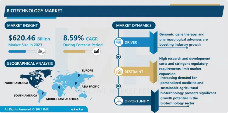 Biotechnology Market - Insights For Business Growth Report 2024-2032