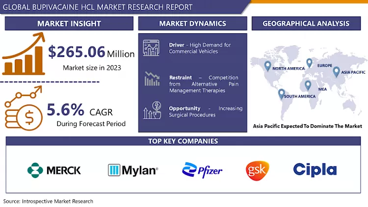 Bupivacaine HCl Market - Global Size, Share & Industry Trends