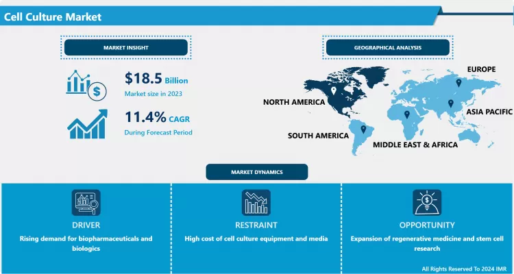 Cell Culture Market - Latest Advancement & Industry Analysis