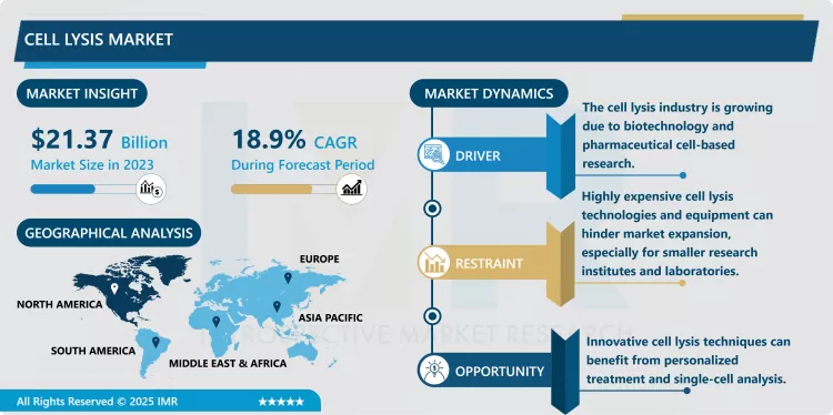 Cell Lysis Market - Comprehensive Study Report & Recent Trends 2024-2032