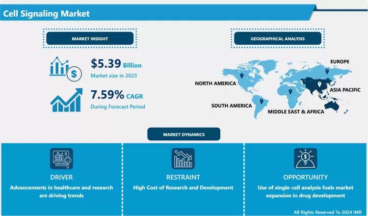 Cell Signaling Market - Global Growth And Trends Analysis