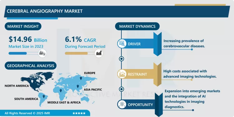 Cerebral Angiography Market - Insights For Business Growth Report 2024-2032