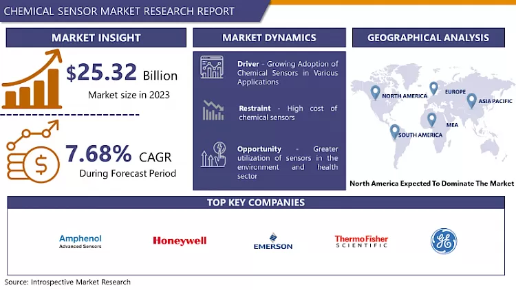 Chemical Sensor Market-Current Analysis By Market Share (2024 - 2032)
