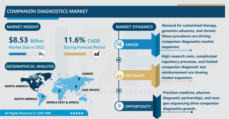 Companion Diagnostics Market - Trends, Size & Outlook (2024-2032)
