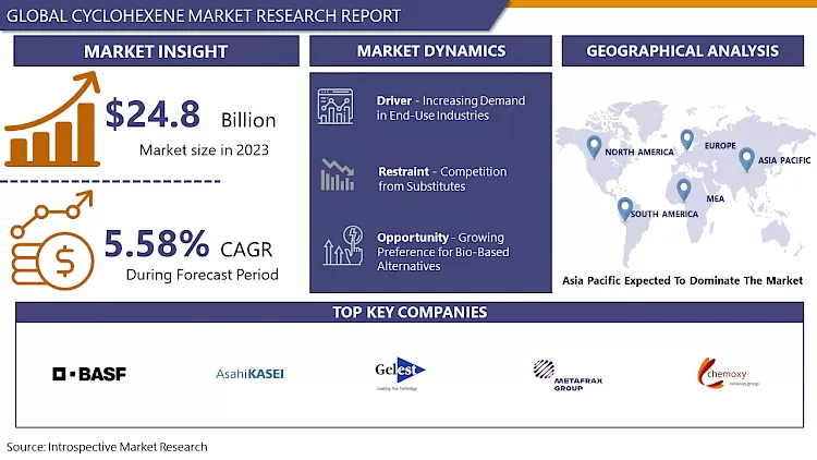 Cyclohexene Market - Overview And Outlook By Growth By 2030