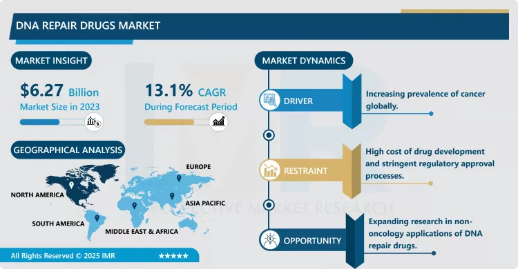 DNA Repair Drugs Market - Size & Upcoming Industry Trends (2024-2032)