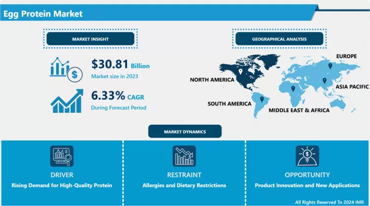 Egg Protein Market - Latest Advancement & Industry Analysis