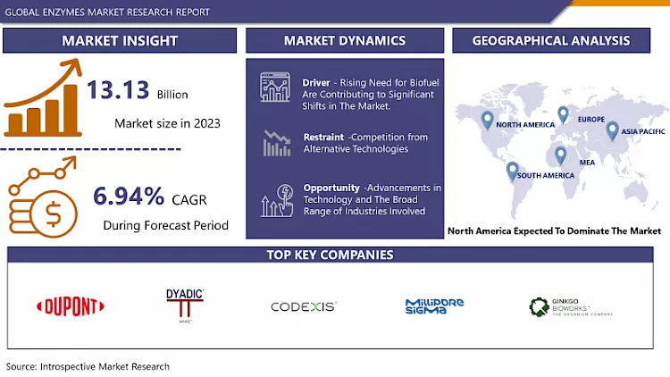 Enzymes Market - Size, Share & Outlook (2024-2032) | Latest Advancements
