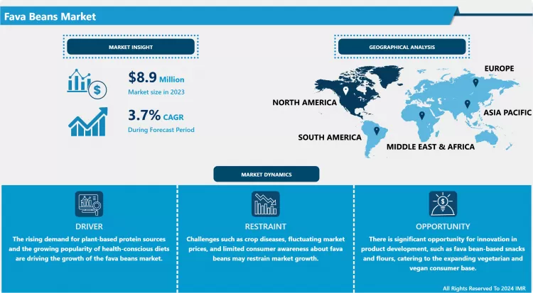 Fava Beans Market - Current Analysis By Market Share 2024-2032