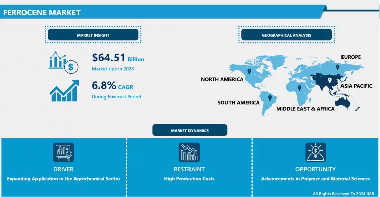 Ferrocene Market: In-Depth Analysis & Market Share Focus