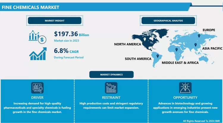 Fine Chemicals Market-Global Size & Upcoming Industry Trends (2024-2032)