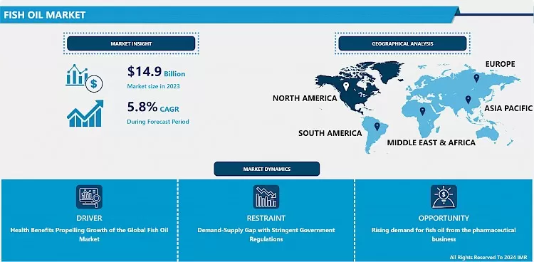 Fish Oil Market | Comprehensive Study Report & Recent Trends