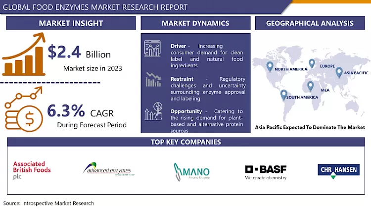 Food Enzymes Market - In-Deep Analysis Focusing On Market Share 2024-2032