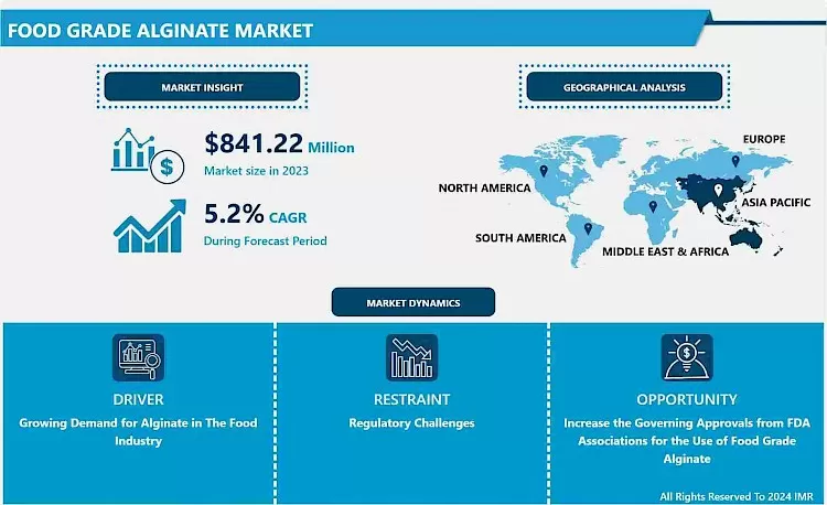 Food Grade Alginate Market - Size & Upcoming Industry Trends