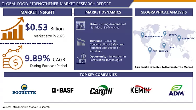 Food Strengthener Market | Global Industry Analysis (2024-2032)