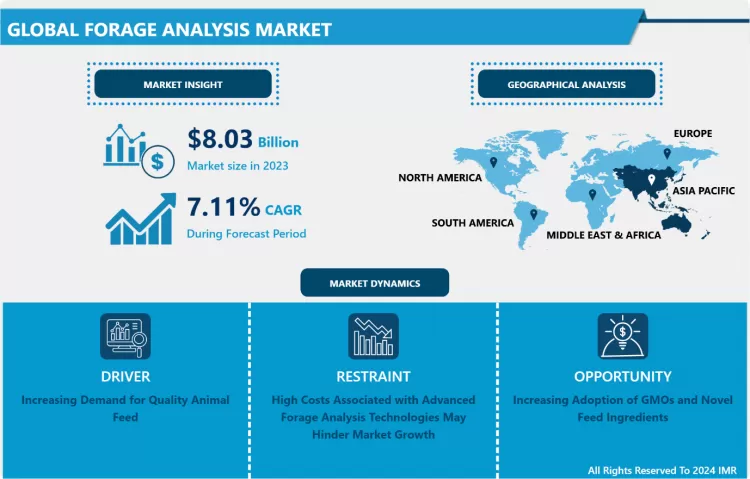 Forage Analysis Market - Latest Advancement And Industry Analysis