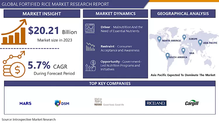 Fortified Rice Market - Advancements & Industry Analysis