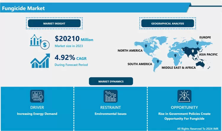 Fungicide Market - Trends, Insights & Comprehensive Analysis