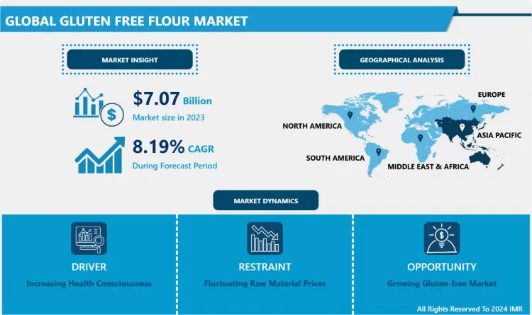 Gluten Free Flour Market - Analysis Focusing On Market Share