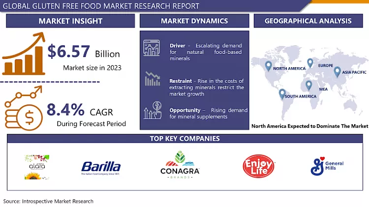 Gluten Free Food Market 2024 - Global Size & Upcoming Industry Trends By 2032