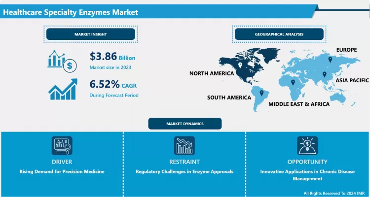 Healthcare Specialty Enzymes Market: Analysis & Market Share