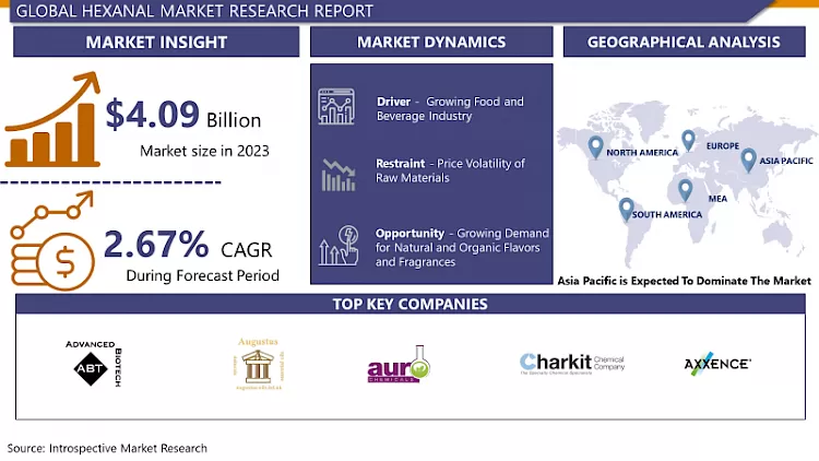 Hexanal Market - Size, Share & Outlook | Latest Advancements