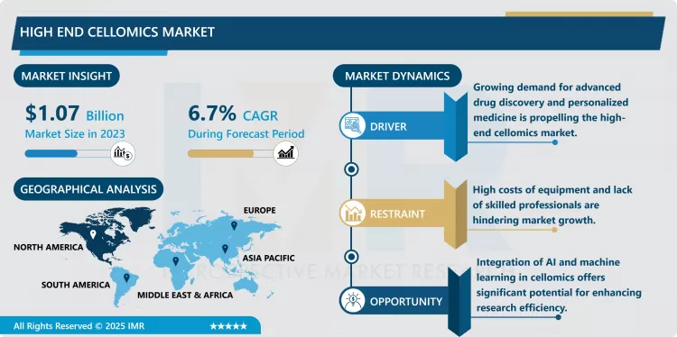 High End Cellomics Market - Global Share Analysis (2024–2032)