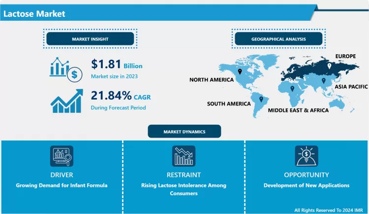 Lactose Market - Global Demand, Industry Analysis And Trends