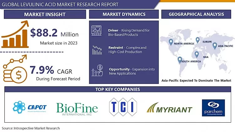 Levulinic Acid Market - Depth Analysis & Market Share Focus
