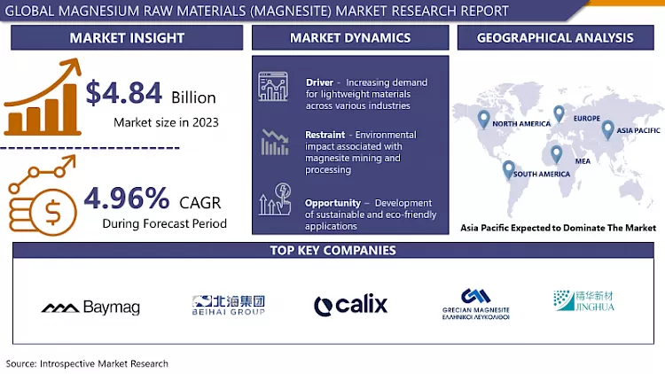 Magnesium Raw Materials (Magnesite) Market - In-Depth Analysis