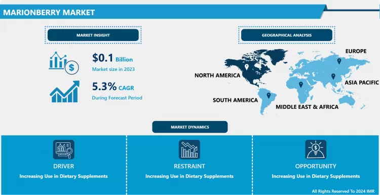 Marionberry Market - In-Deep Analysis Focusing On Market Share