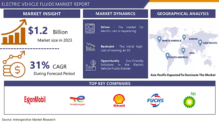 Electric Vehicle Fluids Market-Overview And Outlook By Potential Growth