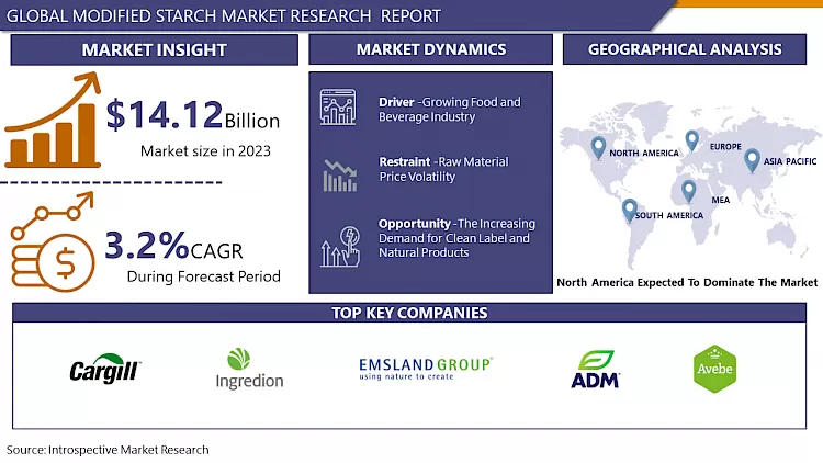 Modified Starch Market- Global Size & Upcoming Industry Trends