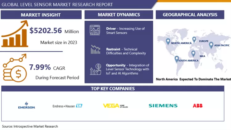 Level Sensor Market: Global Outlook & Market Dynamics
