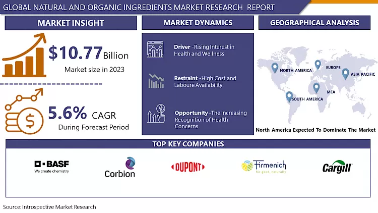 Natural And Organic Ingredients Market 2024 - Global Sales Analysis By 2032