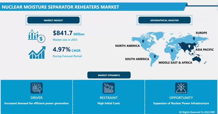 Nuclear Moisture Separator Reheaters Market -In-Depth Analysis