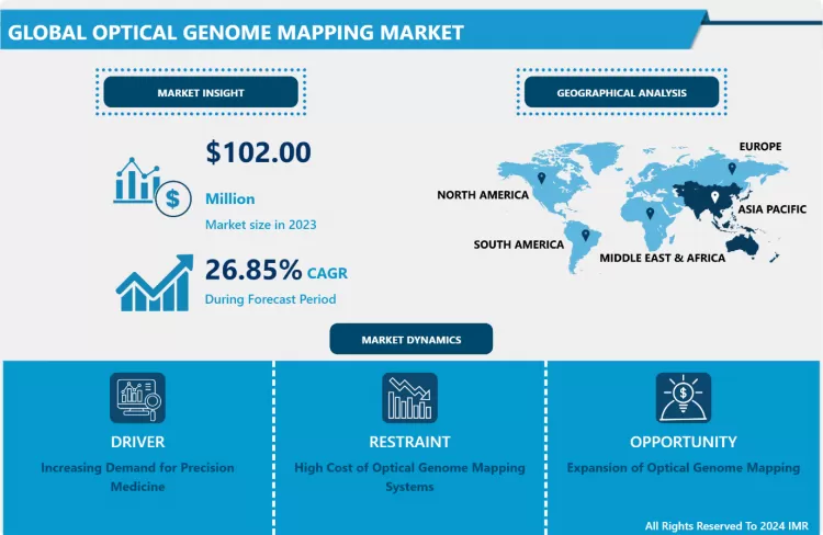 Optical Genome Mapping Market | Comprehensive Study Report