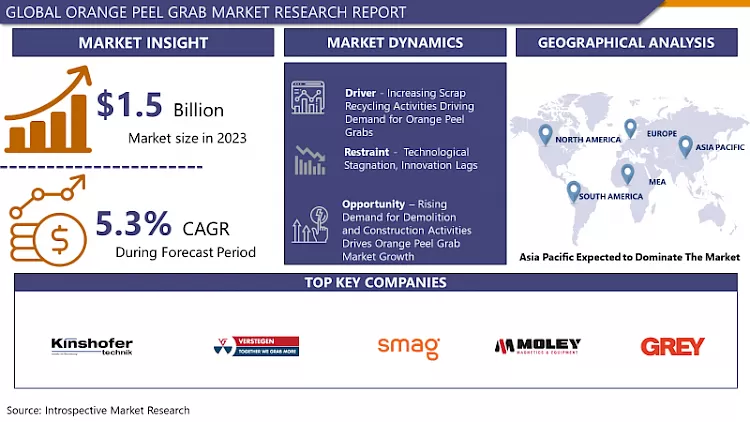 Orange Peel Grab Market - Comprehensive Study Report & Recent Trends